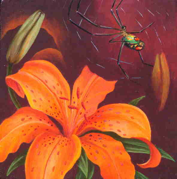 Andrea Johnson - "Tiger Lily"