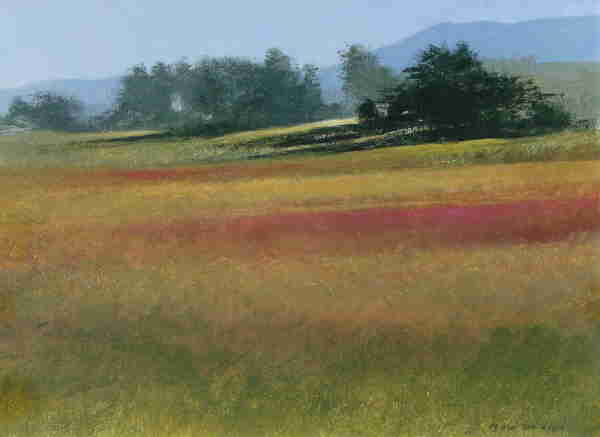 Miguel Dominguez - "Evening Meadows"