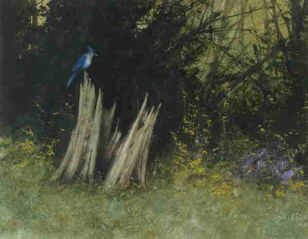 Miguel Dominguez - "Jay Perch"